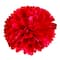 Red Paper Pom Poms By Celebrate It&#x2122;